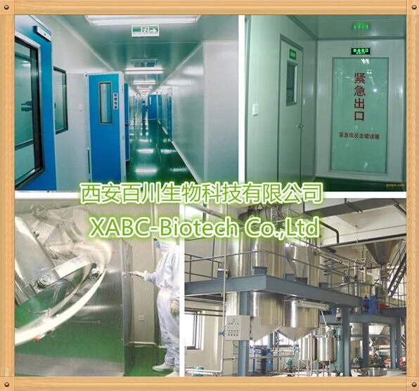 Moisturizing Raw Material Cosmetics Grade Hyaluronic Acid Powder Sodium Hyaluronate 9004-61-9