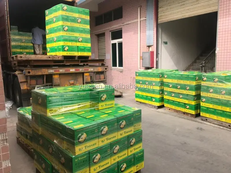 Toasan Most Reliable 12V75AH N70ZL Dry Rechargeable Lead Batteries