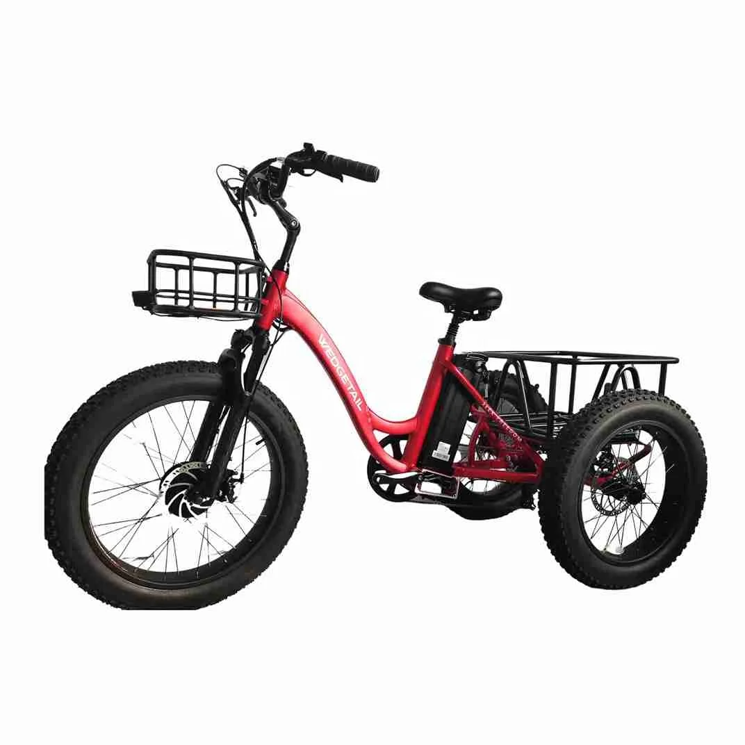 Customized And Comfortable 48V1000W Electric Tri E Tri cycle Tricycle Electric Bike Motorized Tricycles