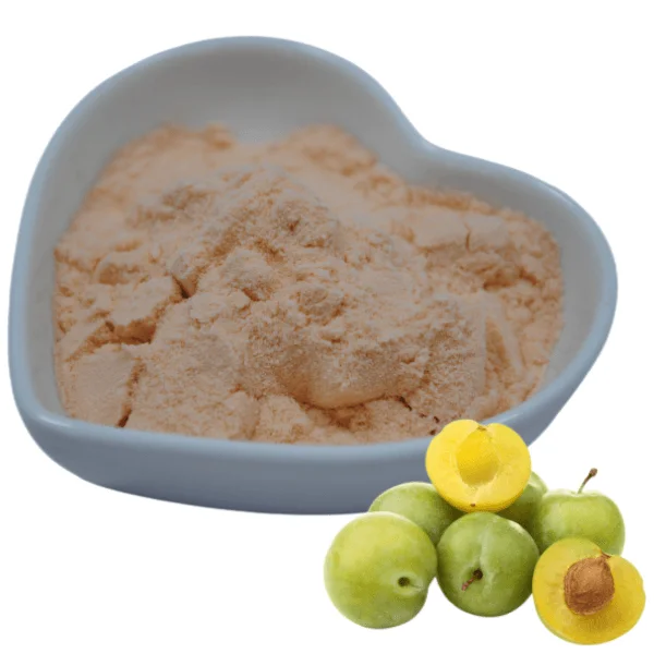 Food Grade Pure China Wholesale Best Price High Quality  Plum Fruit Powder