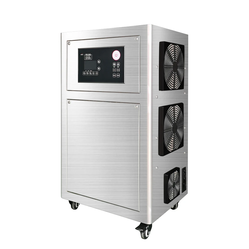 Flygoo 220V  30g 40g 50g Ozone Generator Commercial Ozone Machine with US UK Plug