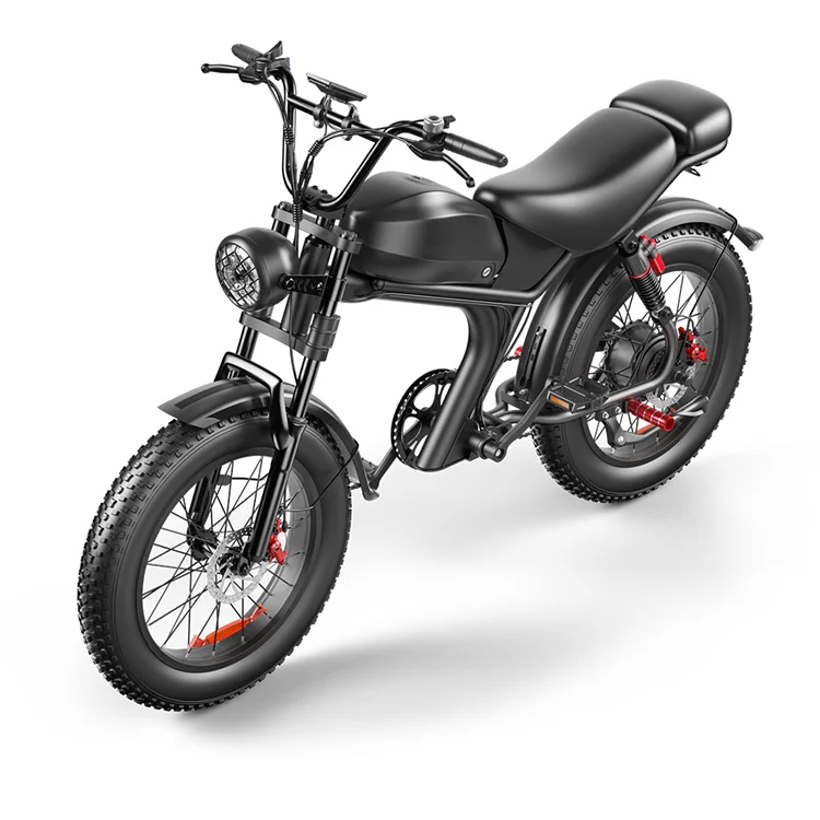 EU Warehouse 2024 Arrival 20inch Bike with 48V 20ah Lithium Battery up to 1000W Fat Tire Electric Bike