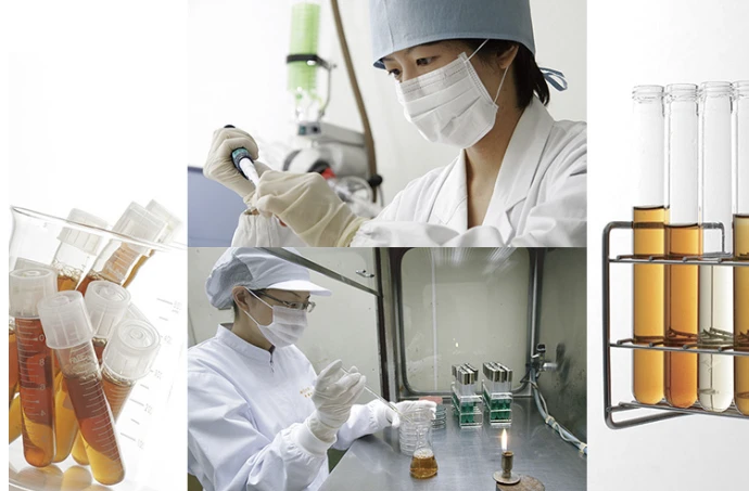 Senseiro mushroom extract home improvement increase immune system drink