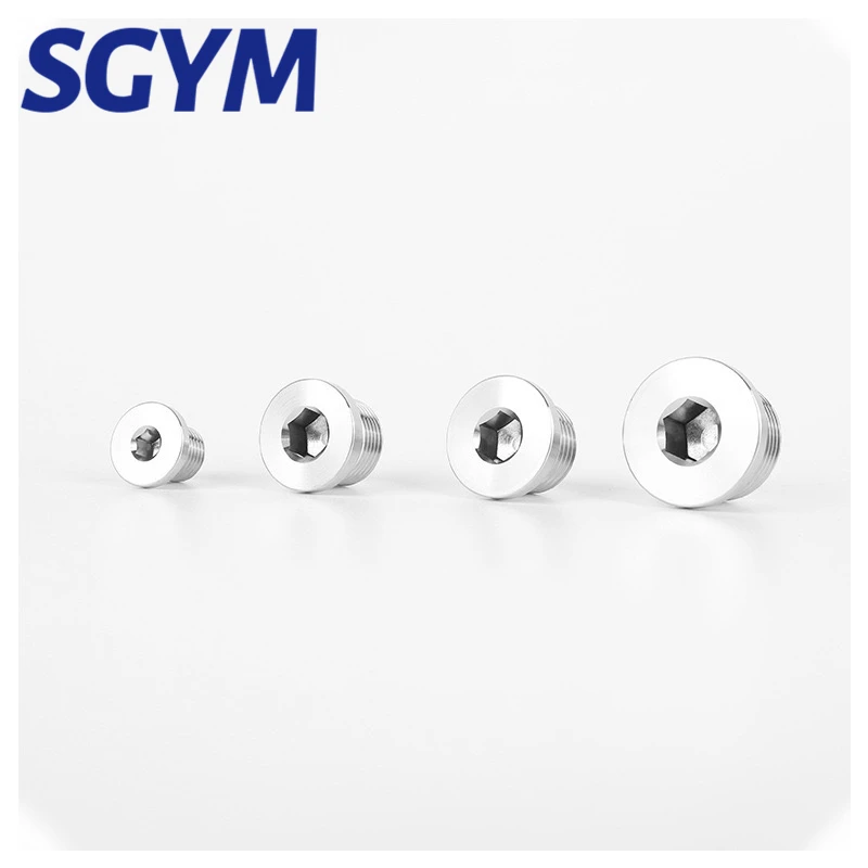 Hot Sale Standard DIN908  G3/8 M12*1.5 A2 A4 Stainless Steel Male Hex Pipe Plug