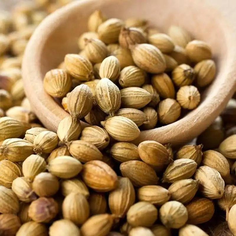 Wholesale Spices Supply Good Quality Whole Good Price Dry Coriander Seeds