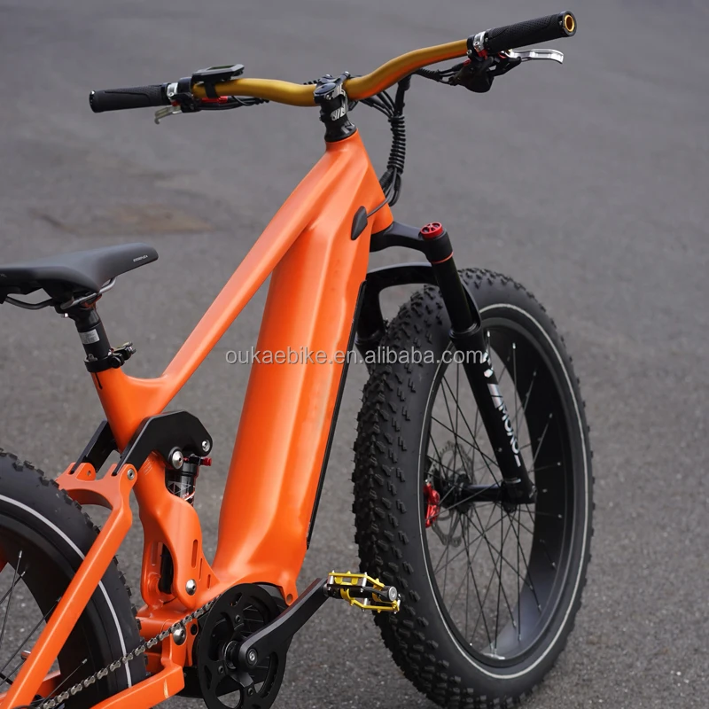 Electric bike 2.jpg