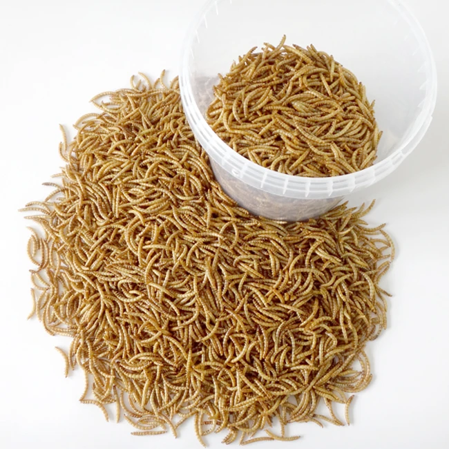 High Nutrition Poultry Chicken Bird Feed Dried Mealworm 800g