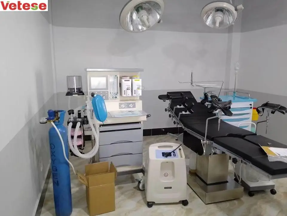 Medical Anasthesia machine For Veterinary Surgery Operation Portable Maquina de anestesia Hospital Anestesia
