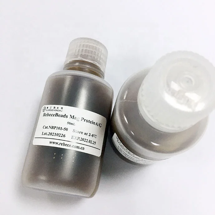 Hot-sale Professional Lower Price Magnetic Beads Protein A/G Extraction Kit