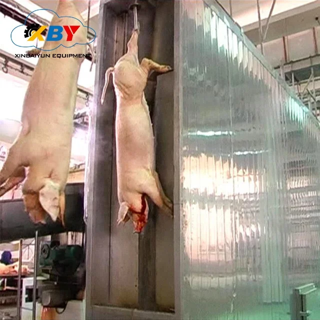 Automatic Sow Processing Conveyor For Pig Slaughter House Food Machinery