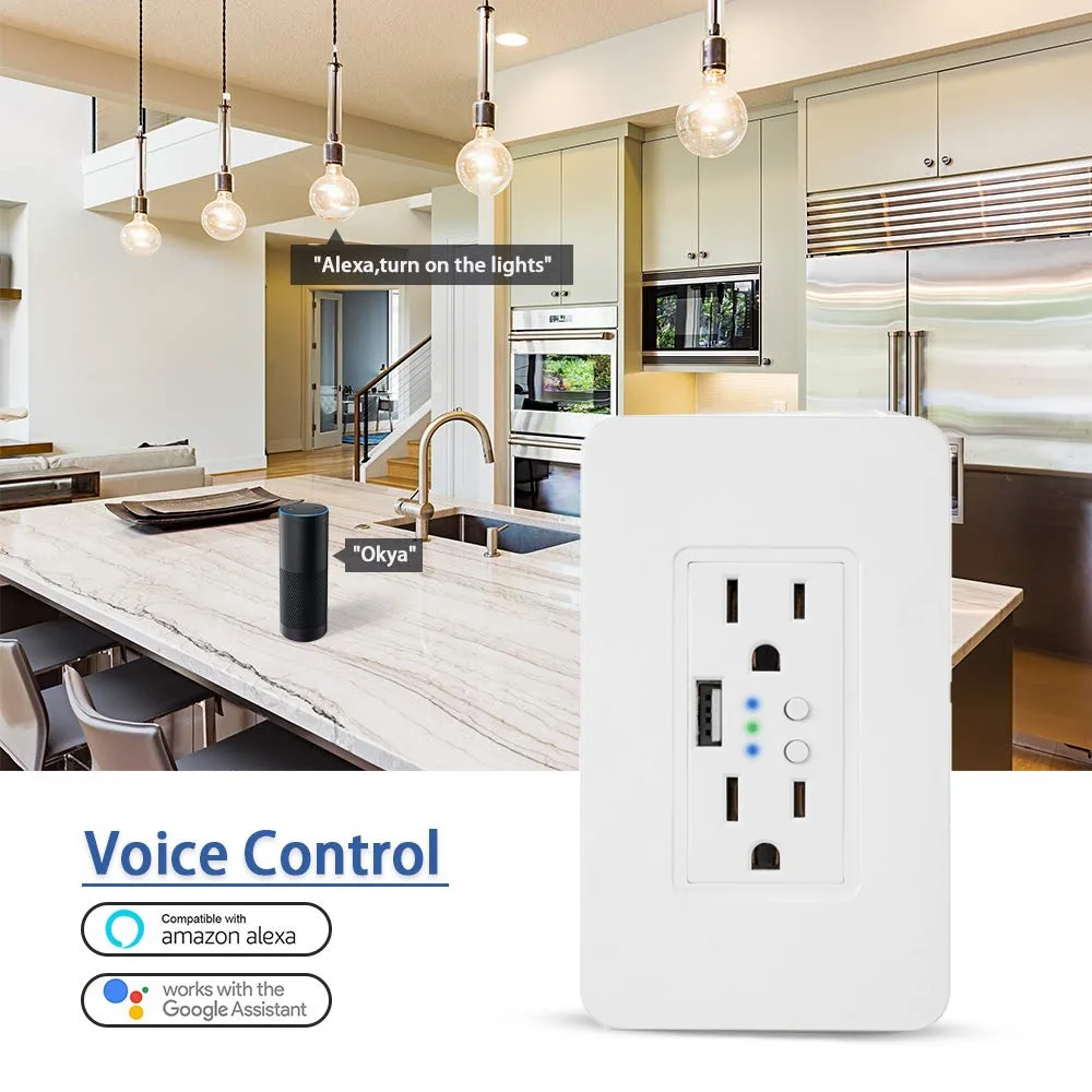 New TUYA Alexa USB interface 2 way Double US Power Plug Wall Outlet WiFi Smart Socket