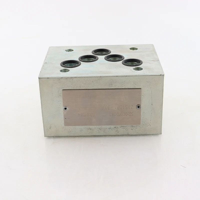Beijing Hongji Shida Hot Sales Hydraulic Supplier Directional Valve One-way Valve  Z1S10P1-30