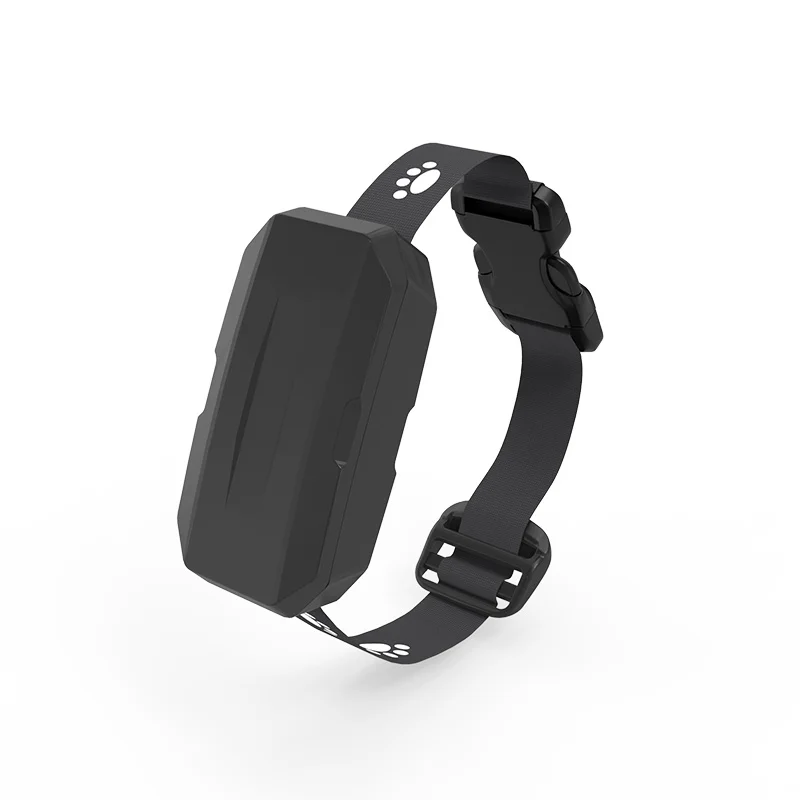 Wholesale GPS/A-GPS/GLONASS/BeiDou/Galileo real time rastreador locking dog 4g gps tracker