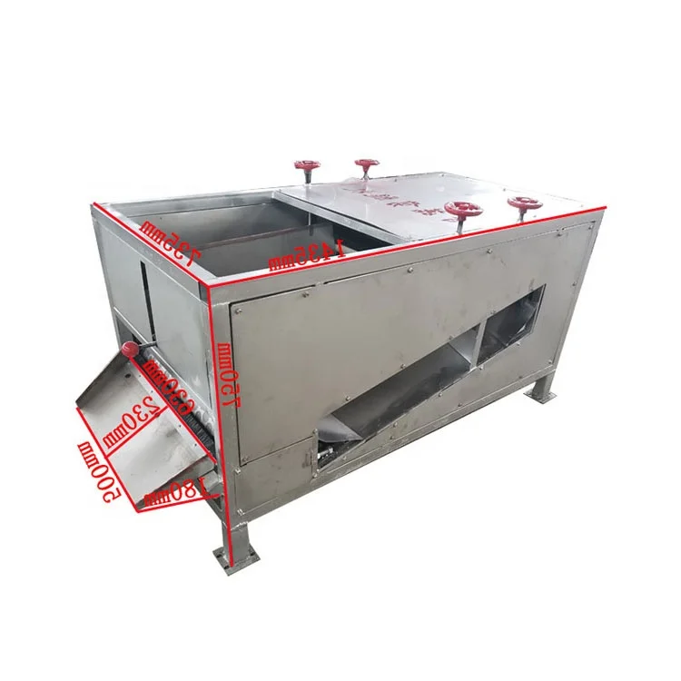 fresh mushroom agaricus stem stipe removing cutter machine / Mushroom destemmer stem cutter