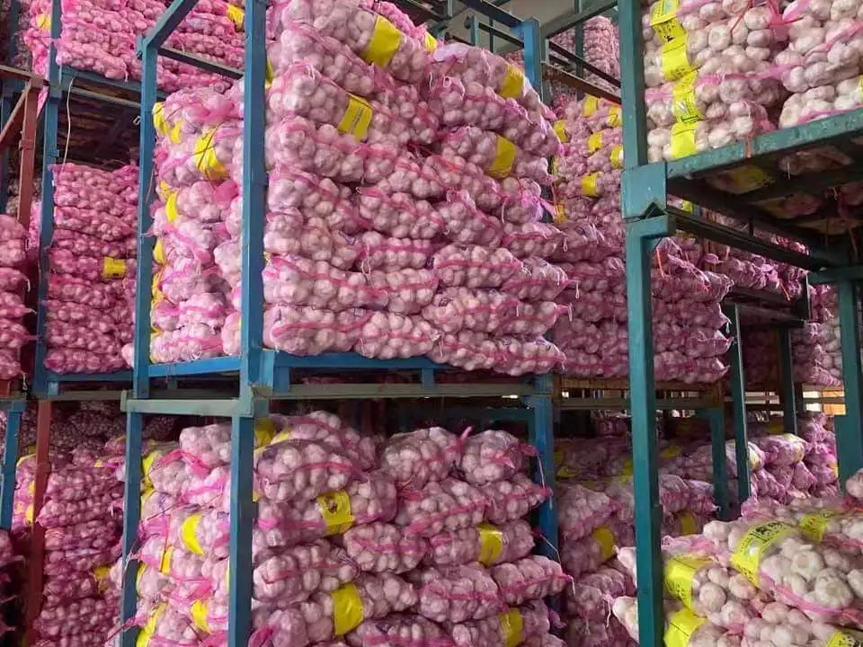 China Sinofarm Brand Garlic supplier manufacturer wholesaler with Cheap white garlic price for sale