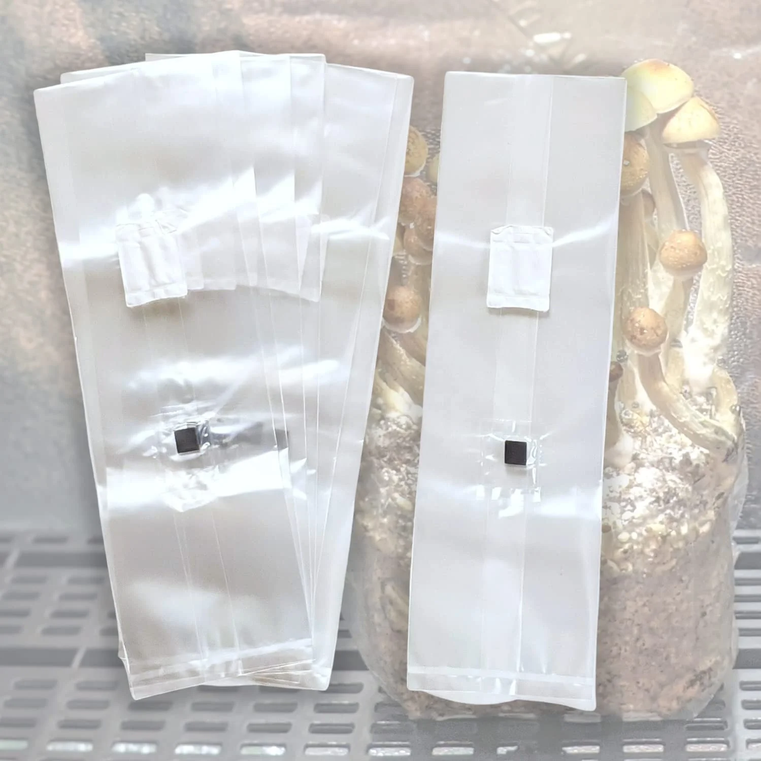 Ready To Ship High Temperature Resistance PP Mushroom Bag with Injection Port for Mushroom Growing