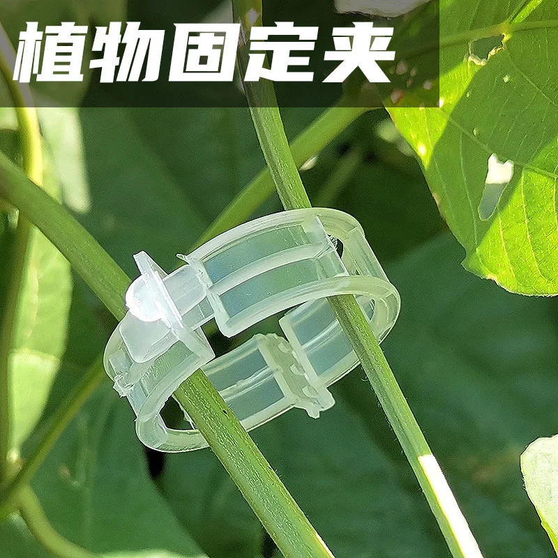 Plastic Plant Support Clips Tomato Cucumber fixing Clips White Clips for Vine Vegetable