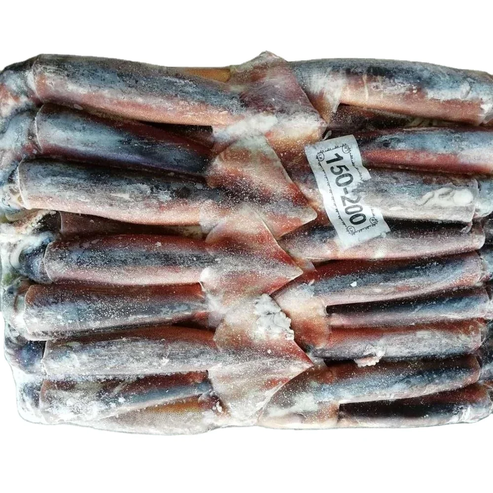 2022 New Arrivals Frozen Squid Whole Round Cumi Squid Fresh 100g BQF Illex Squid For Thailand Market