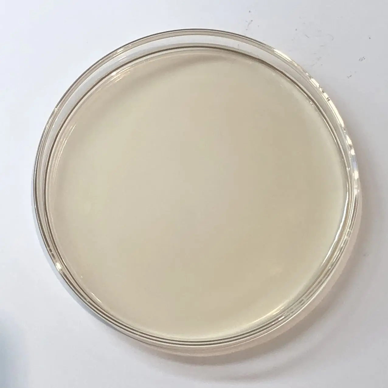 amino acid organic Liquid plant fertilizer biostimulant agriculture fertilizers leaf fertilizer amino acid organic Liquid