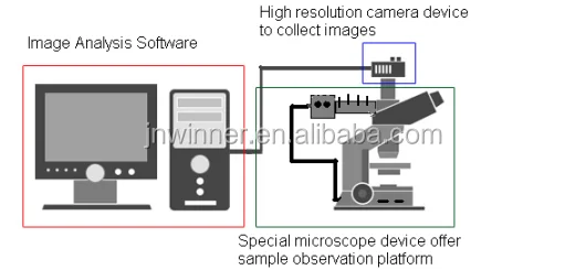 Particle image analyzer Winner99E for static automatic data analysis