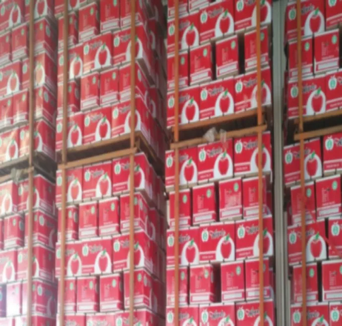 
fresh royal gala apples from fresh fruits farms 