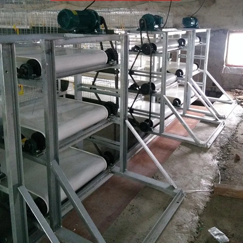 chicken farm poultry litter manure removal conveyors