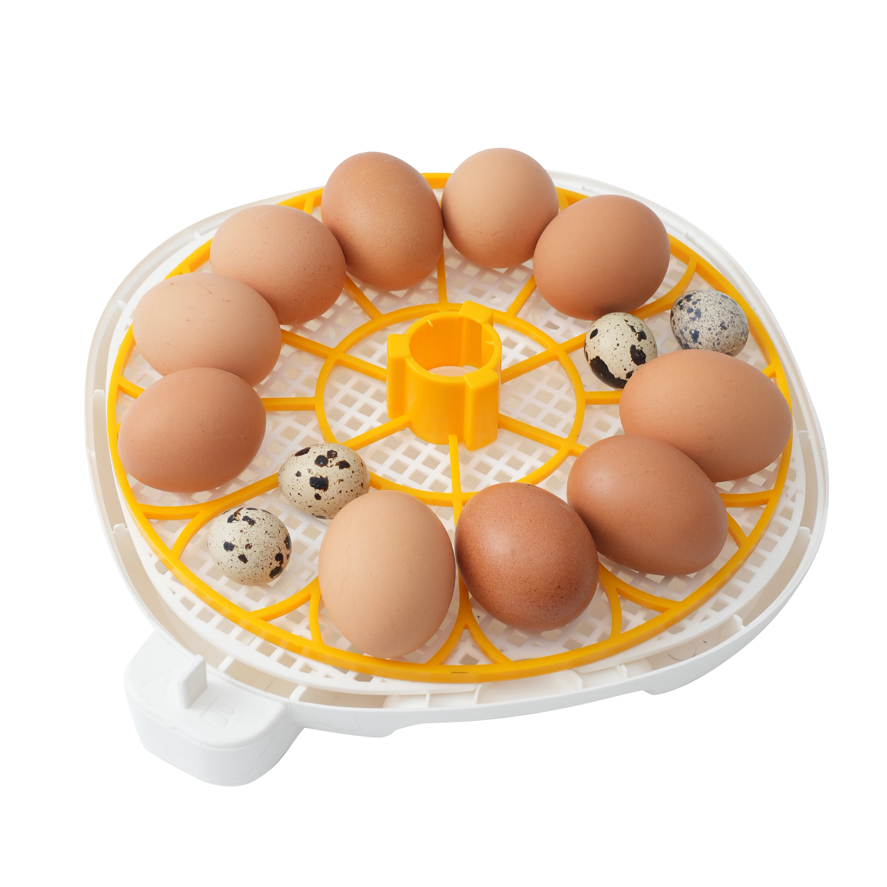 Round Shape 12 Egg Incubator Machine for Hatching Eggs Fully Automatic Egg Incubator