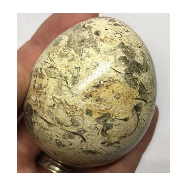 
Fossil Marble Eggs In Low Price For Decoration 