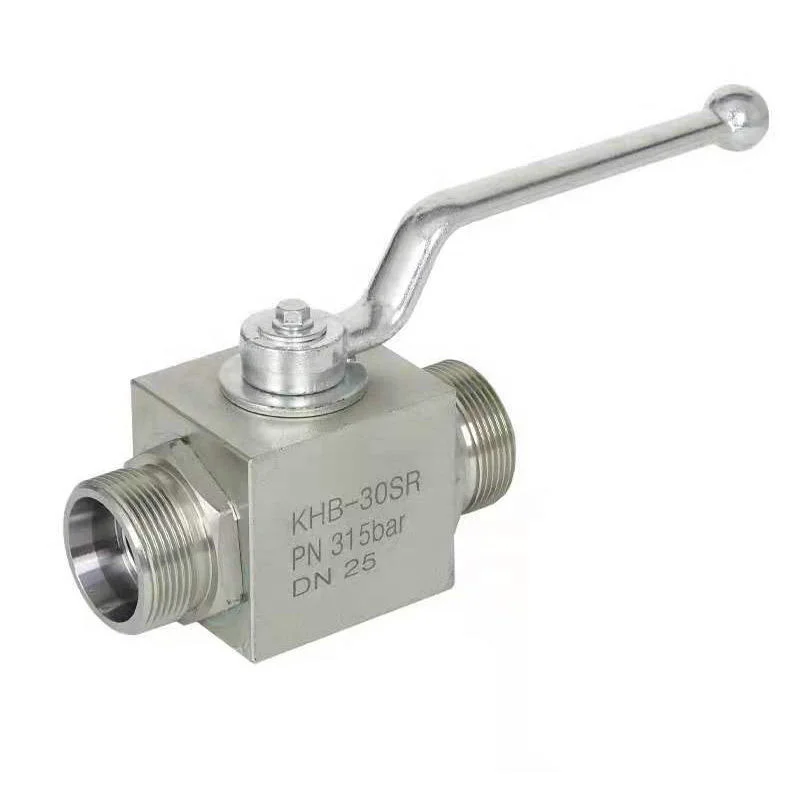 Factory hot selling Two way valve check valve