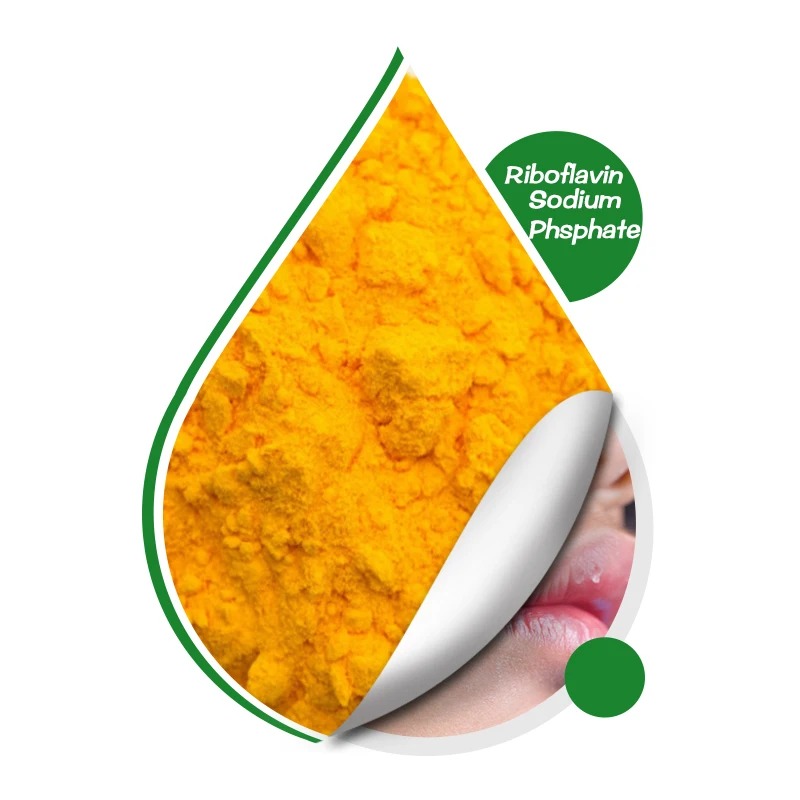 Best Price Riboflavin 5 Phosphate Sodium In Stock Derivatives Vitamin B2 CAS 130-40-5 Riboflavin-5-phosphate R5P