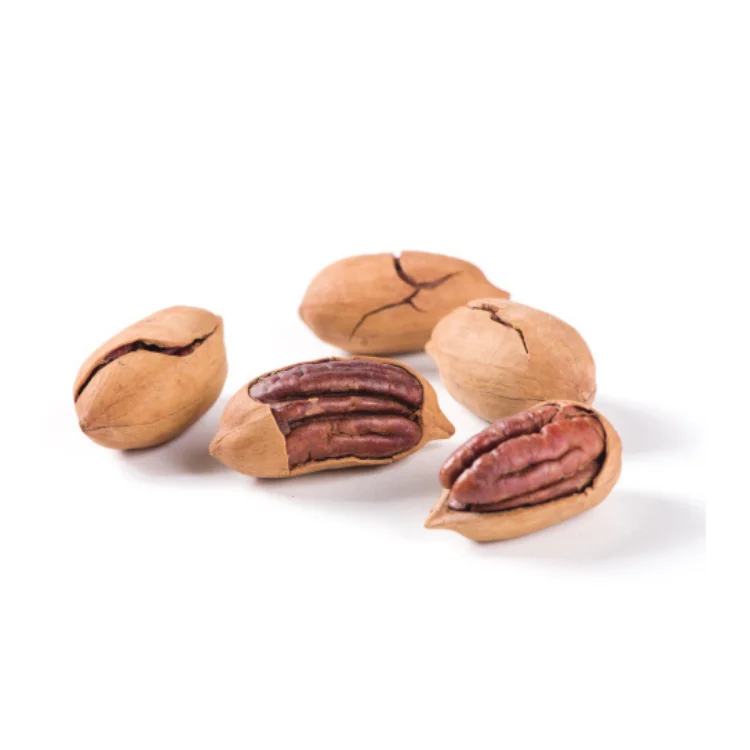 2022 Pecan Nuts Kernel Raw pecan nuts with shell Chinese Organic healthy organic Pecan nuts
