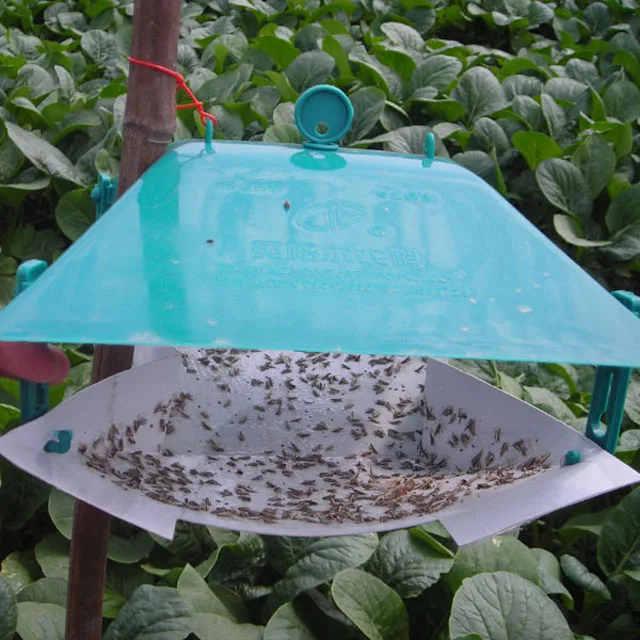 Effective diamond back moth pheromone Plutella Xylostella lure