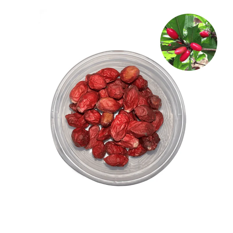 Miracle Berry Extract Factory  Supply Miracle Fruit Powder  Freeze-dried Miracle Fruit