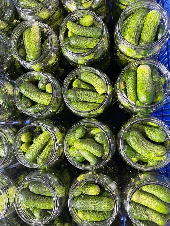 Производство качественных маринок сладко-кислый маринованный детский консервированный огурец в уксусе Whatsapp 0084 989 322 607