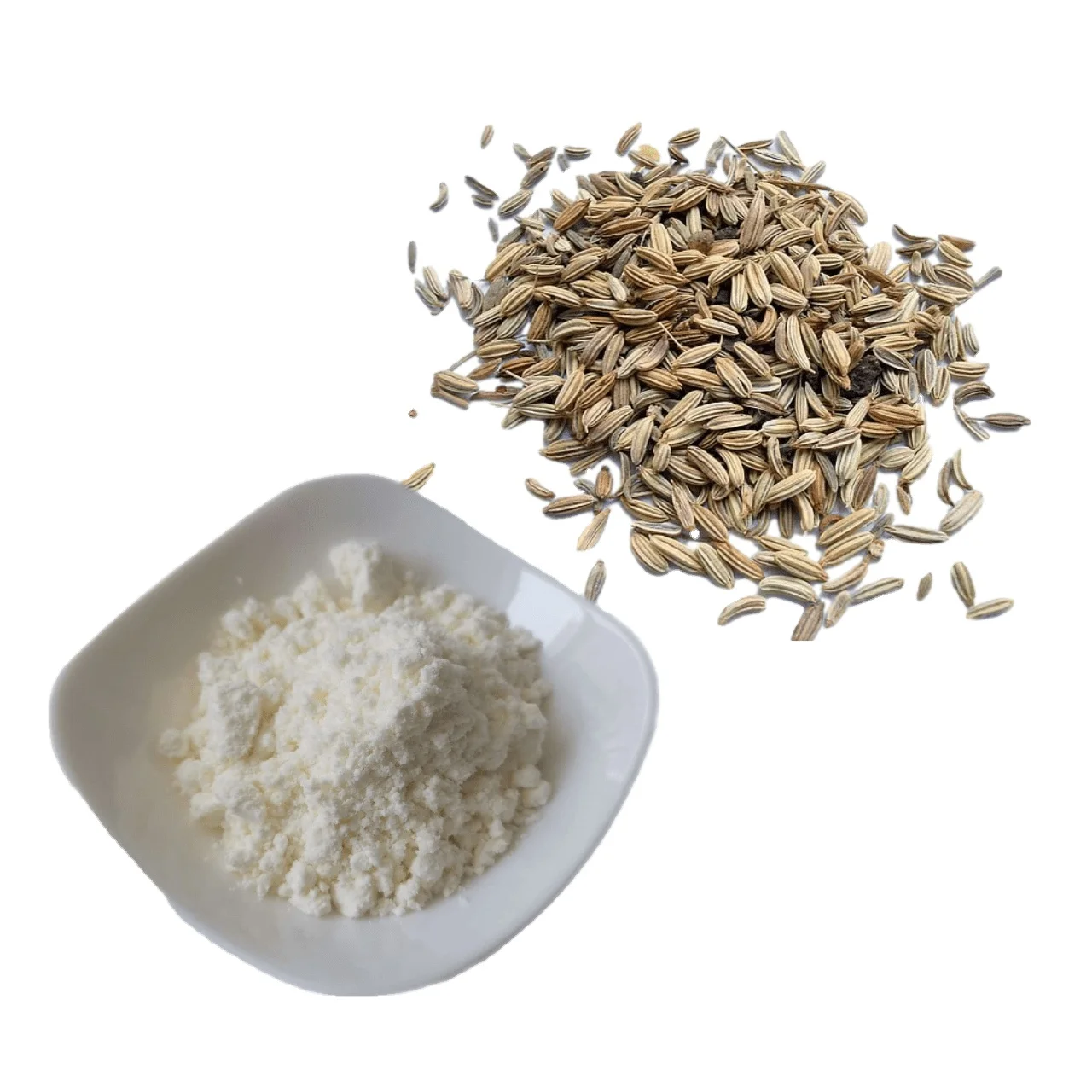 natural foeniculum vulgare extract fennel seed extract powder