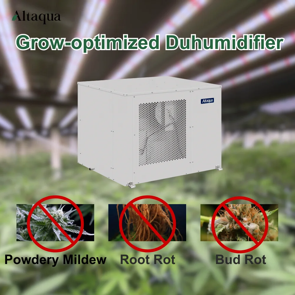 Altaqua Industrial Spot Cooler Grow Room Social Club Temperature Humidity Control Big Capacity Industrial Spot Cooler