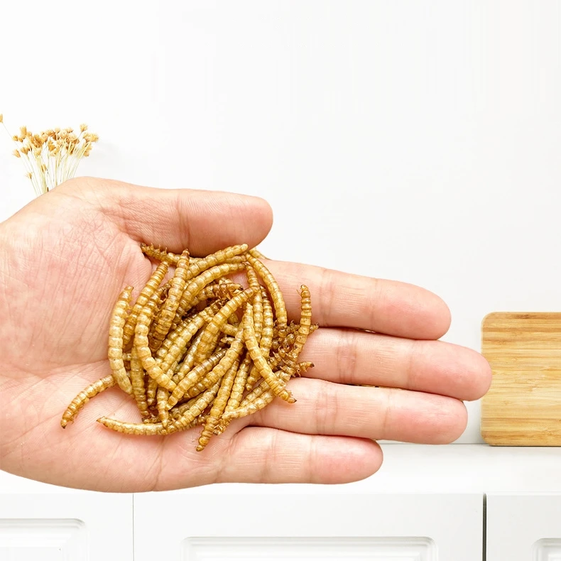 100% Pure Natural Small Animals Supplement Protein Amino Acids Pet Bird Food Feed Hamster Snacks Dried Mealworms