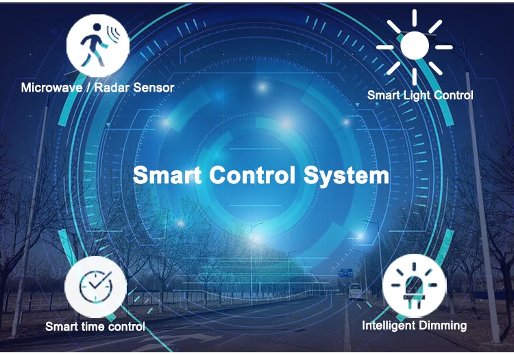 solar street light (19)
