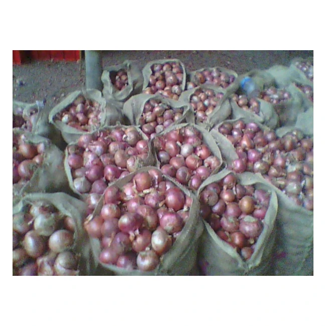 fresh red/rose indian onion