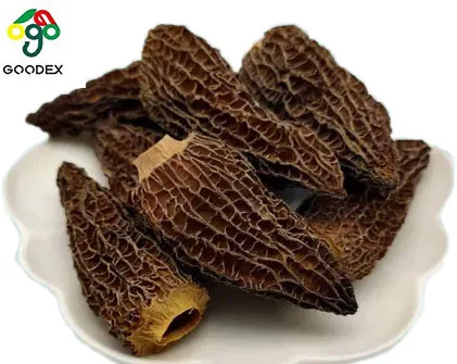 Factory supply best selling Morchella Esculenta