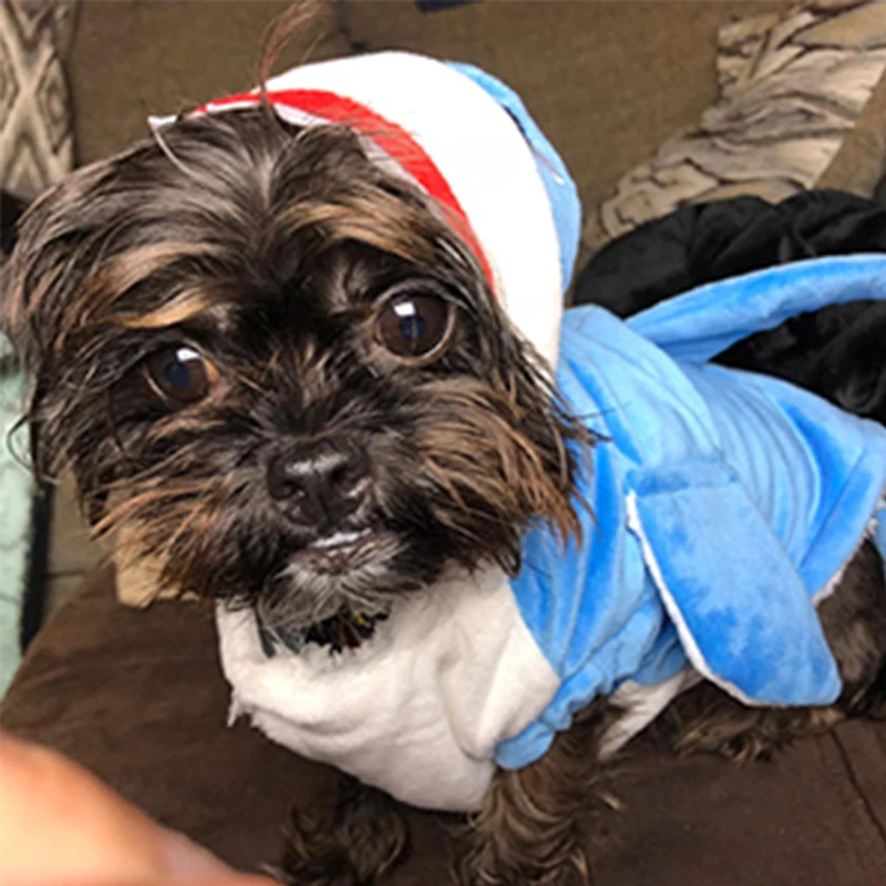 wholesale pitbulls oem large training designer the dog clothes for pitbulls