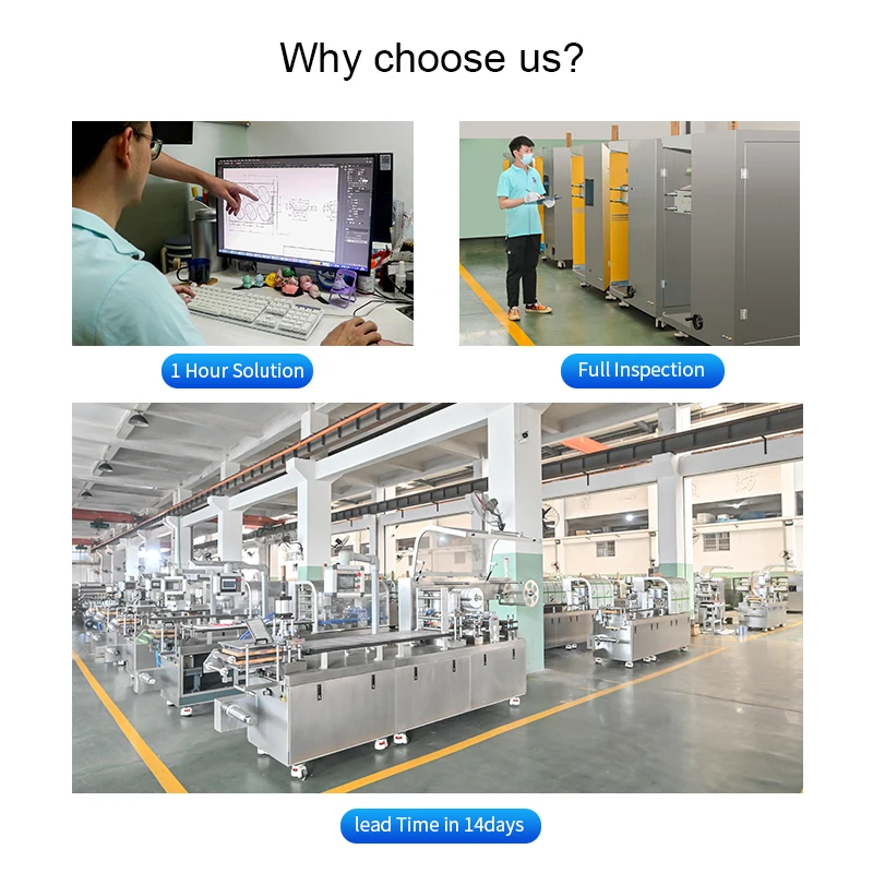 DPP160Pro Full Automatic Tablet Pill Capsule Blister Packaging Machine For Automated Packing Tablets Plate