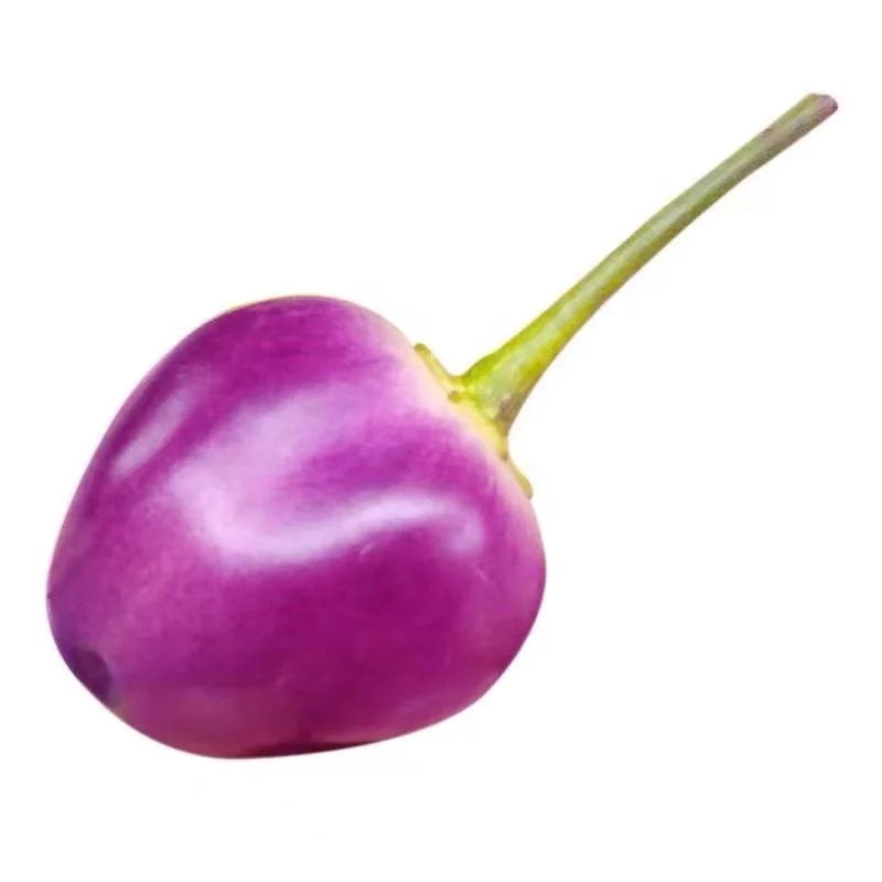 Wholesale 300g/bag Purple Rainbow chili Hot Pepper Vegetable Seeds for Planting