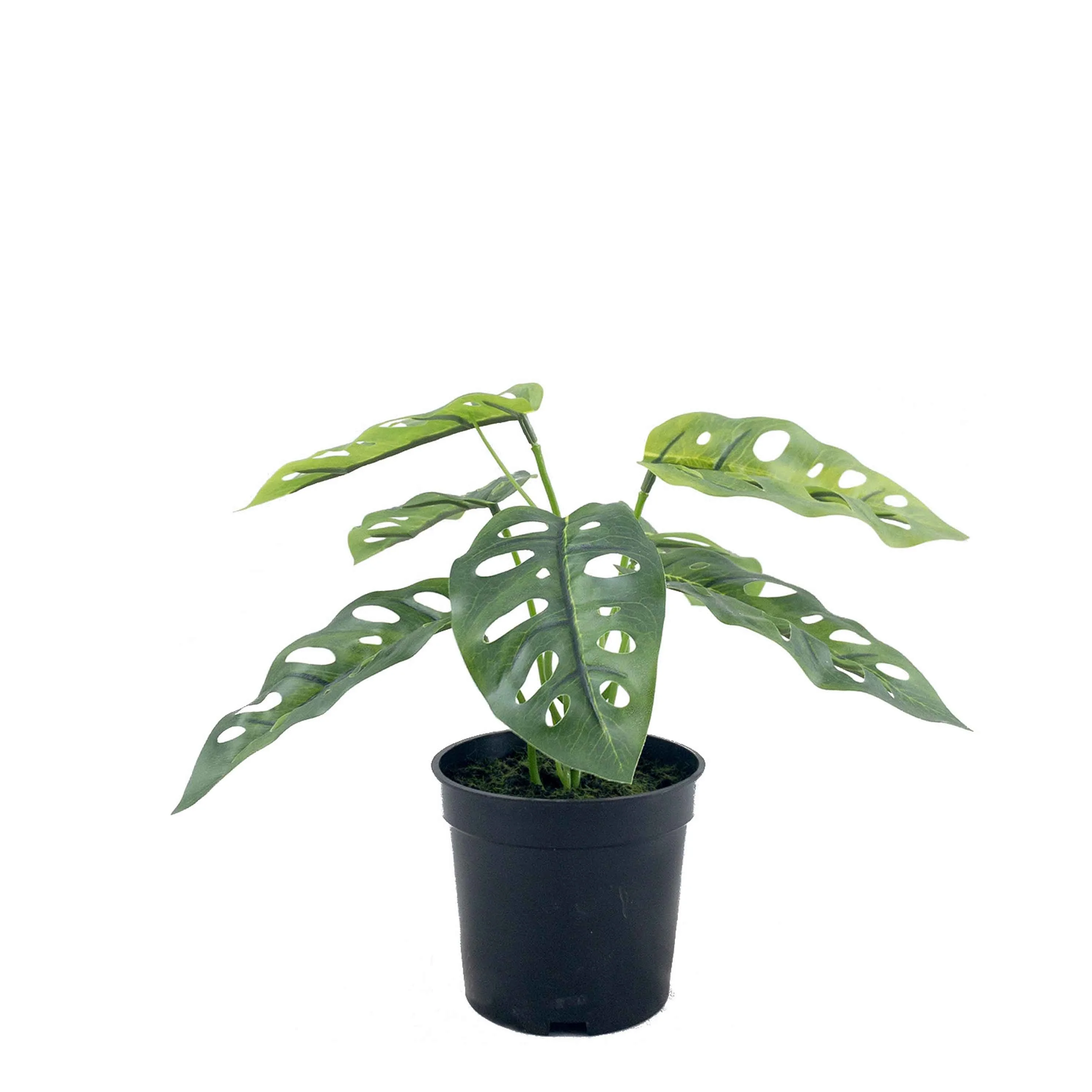 2022 Hot Sale High Quality Artificial Monstera Bonsai for Office Home Decoration Leaves Plants Plastic Artifical Plant Everyday