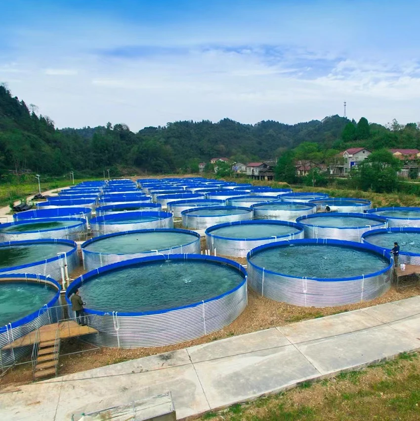 Plastic fish pond fish pond fish shrimp RAS tilapia farming aquaculture system equipment breeding pond