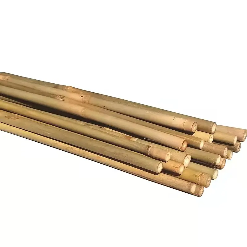 Wholesale Nature Raw Tonkin Yellow Bamboo Pole Cane Material For Decorative And Plants Grow Support