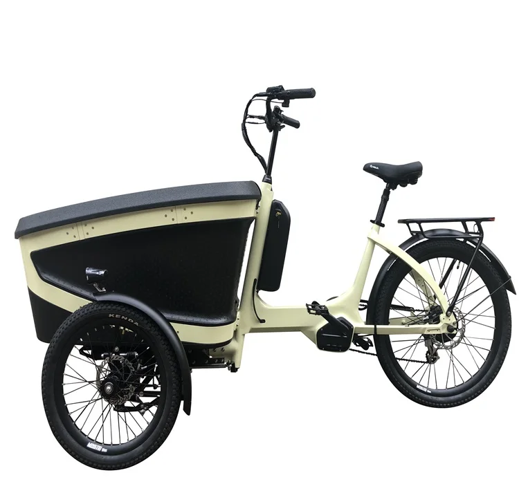 epp foam box hybrid bike electric bike bicicleta electrica 3 wheels bicycle CAROGO e-bike for adults carry kids