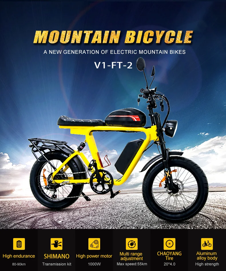 1000W Fat Tire Ebike 48V Electric Bike Dual Motor 7Speed Lithium Battery Electric Bicycle 20 Steel Frame Electric Mountain Bike