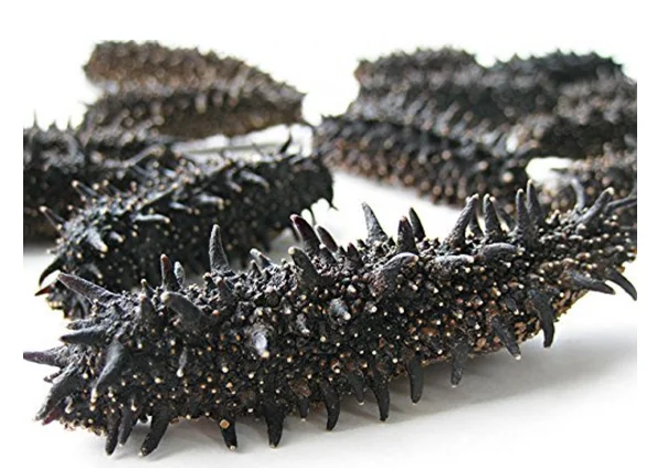 
Japan high vitamin to buy sea cucumber 