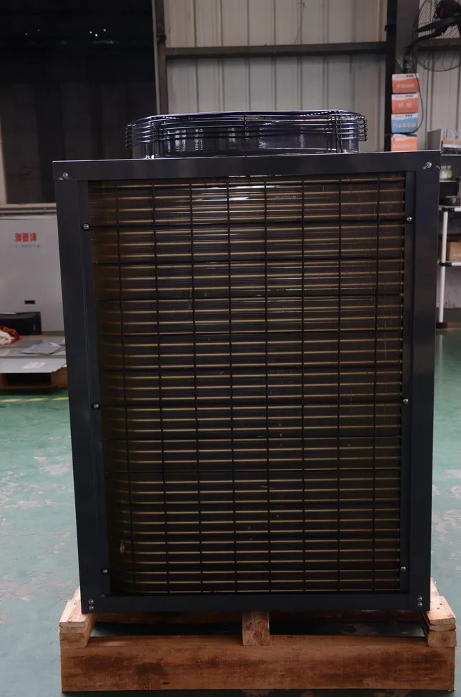 High Qualiglasst Selling Commercial Air Source Heat Pump High Temperature Heat Pump Monoblock Street Electric Swimming Pool R22